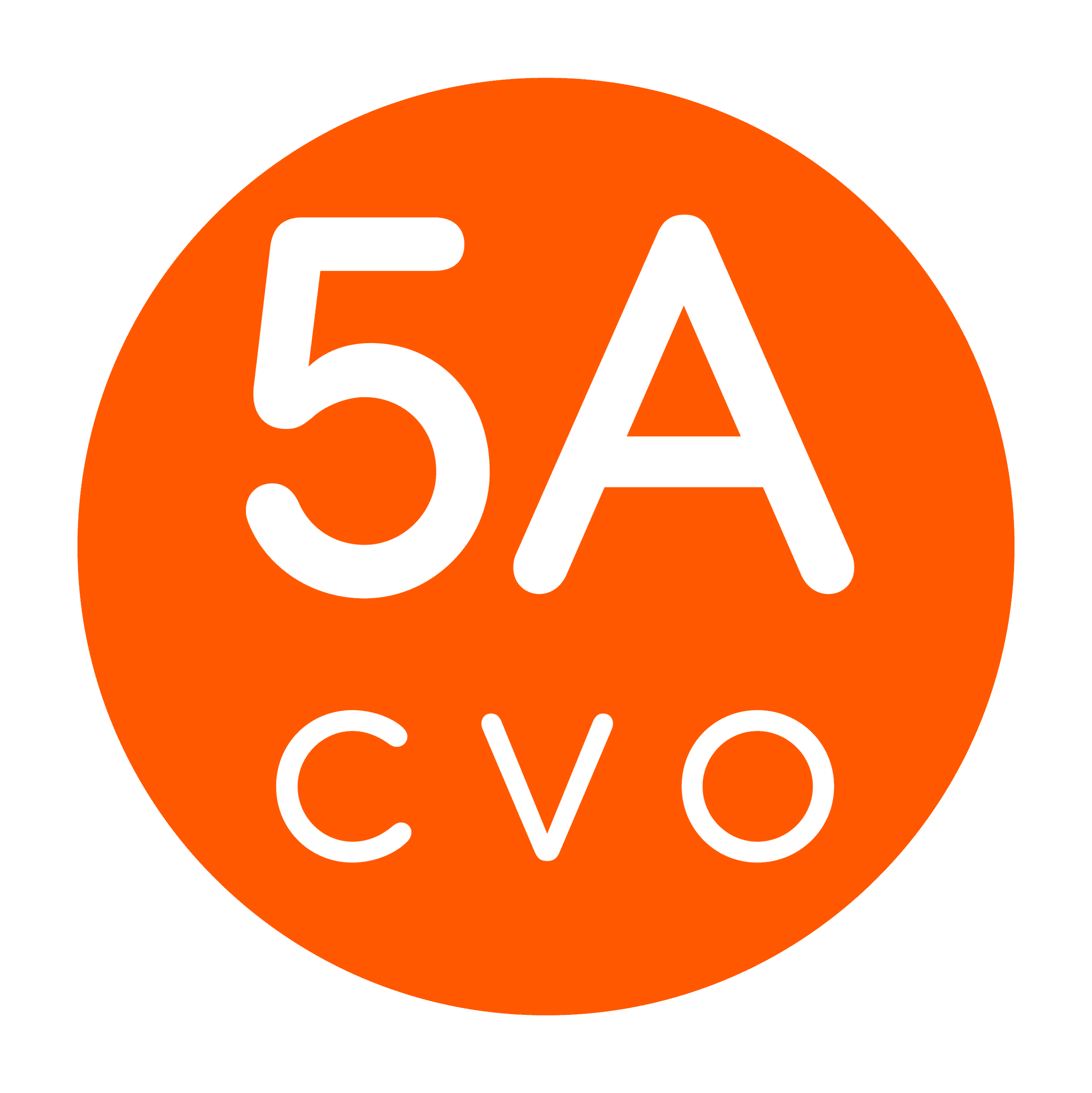 Picture of 5ACVO.com