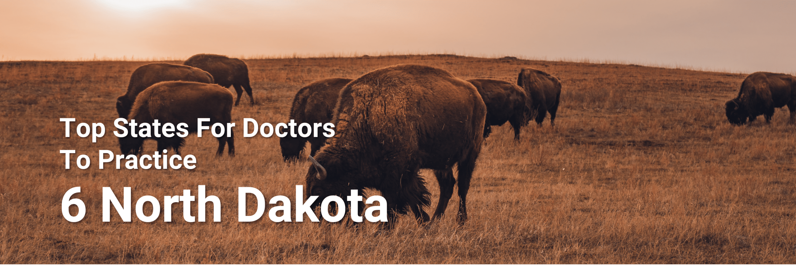 Top States for Doctors to Practice 6 North Dakota
